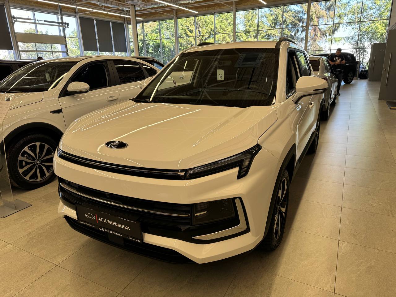 Спецпредложение